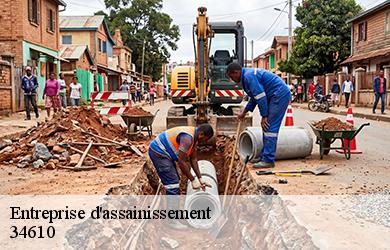 Entreprise d'assainissement  34610